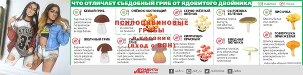 сатива Заволжье