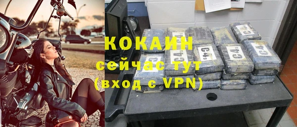 сатива Заволжье