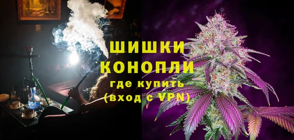 сатива Заволжье