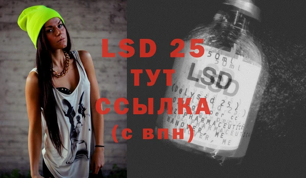 сатива Заволжье