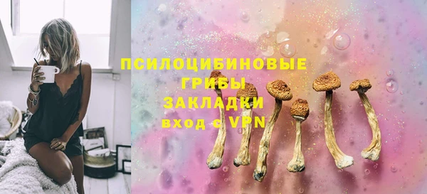 сатива Заволжье