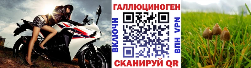 Галлюциногенные грибы прущие грибы  Соль-Илецк 