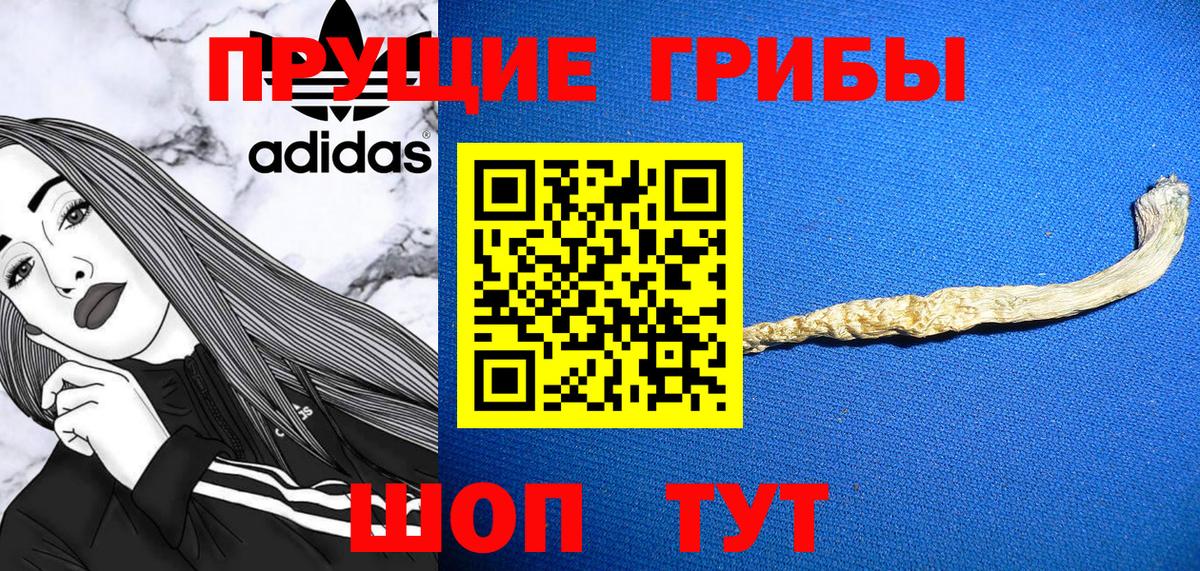 Соль-Илецк  Галлюциногенные грибы мицелий  Вход с VPN 